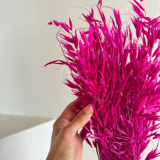 Botte fleurs séchées Avoine Magenta