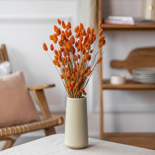 botte-fleurs-sechees-phalaris-orange-flowrette