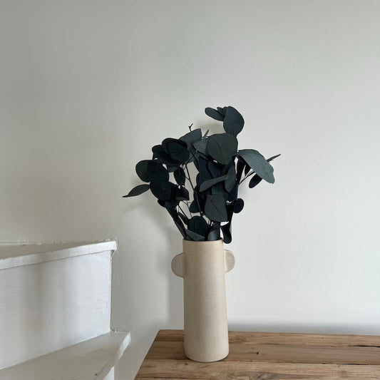 Botte fleurs séchées Eucalyptus Populus Vert