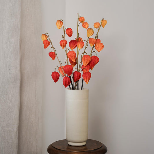 Amour en cage orange, vue d'ensemble de la tige fleurie - Flowrette