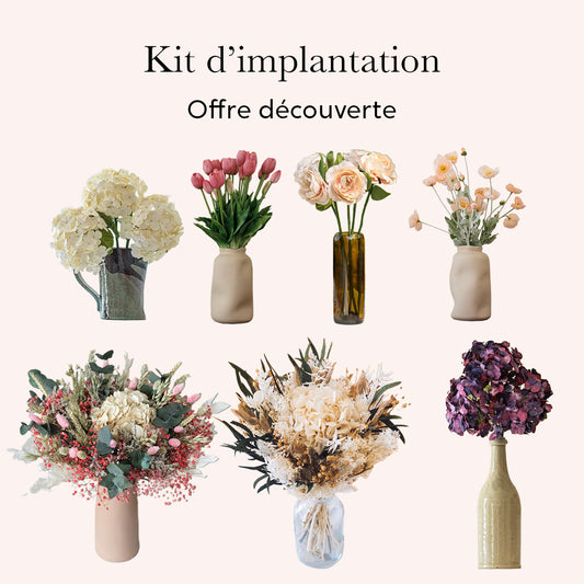 Pack d’implantation - Offre découverte