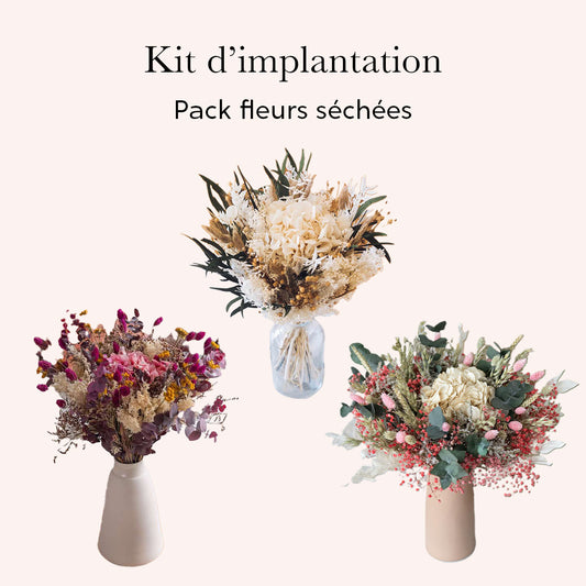 Pack d'implantation fleurs séchées