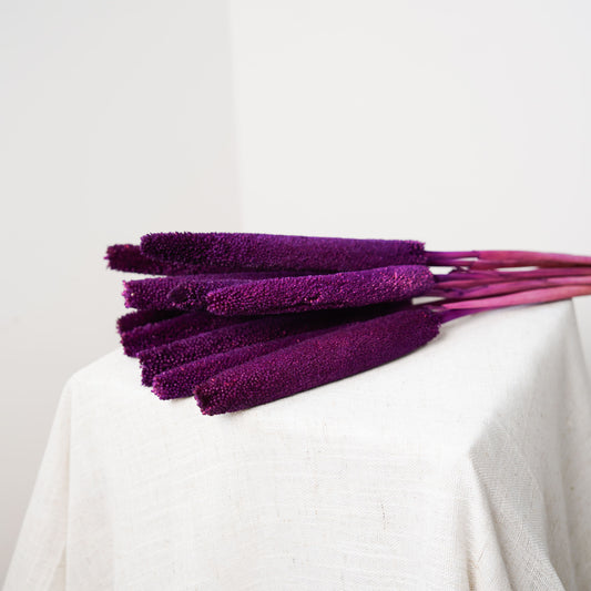 Botte babala violet - fleurs séchées - Flowrette