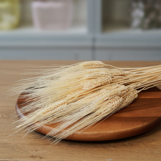 Blé barbu blanc