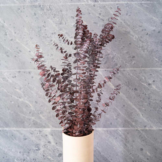 Botte d'eucalyptus baby bordeaux stabilisé, vue de face - Flowrette