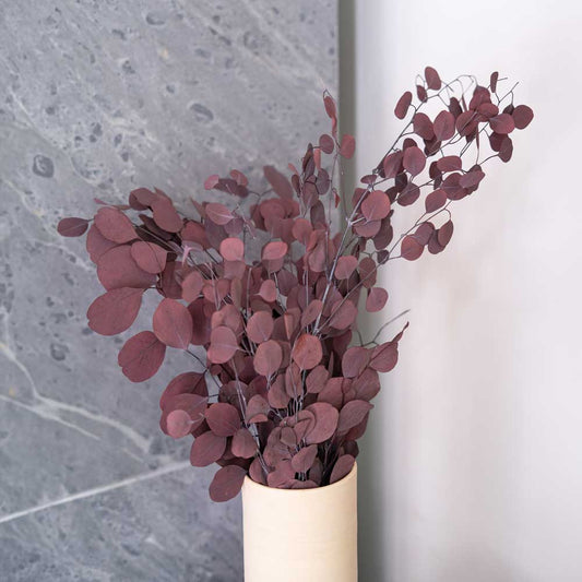 Botte Eucalyptus Populus Bordeaux