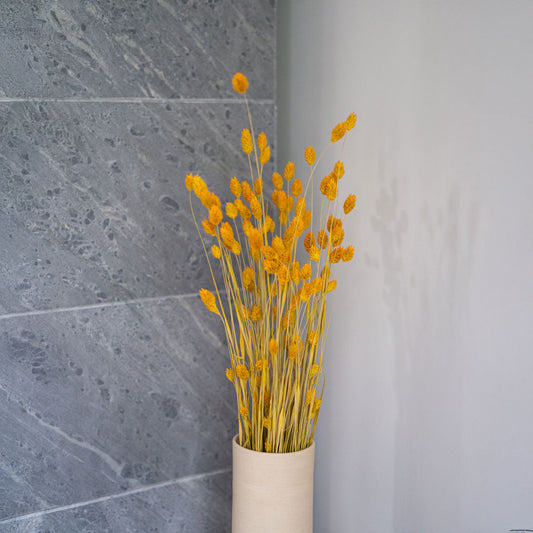 Botte de phalaris jaune séché, vue de face - Flowrette