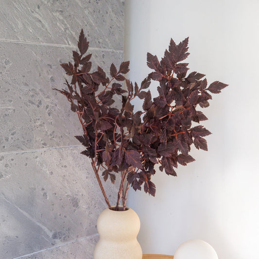 Branche artificielle de Cimicifuga