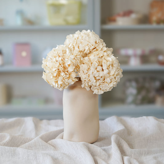 Hortensia blanc stabilisé