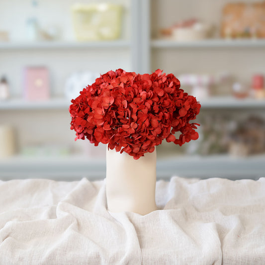 Hortensia rouge stabilisé