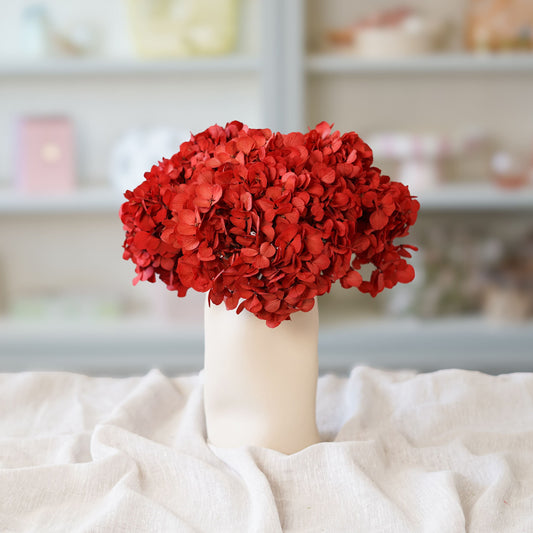 Hortensia rouge stabilisé