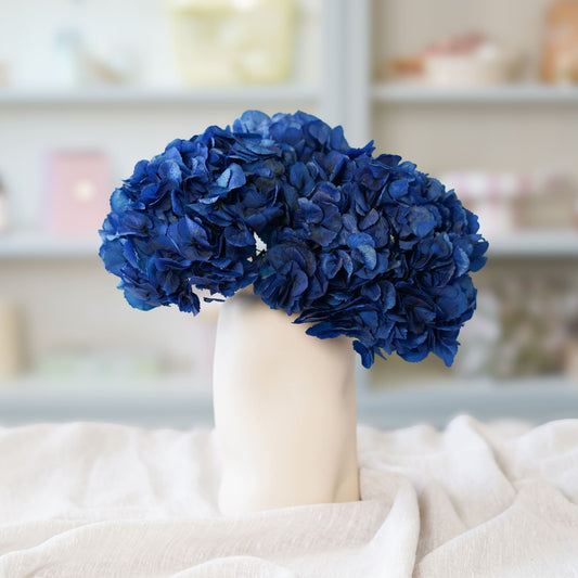 Hortensia bleu stabilisé