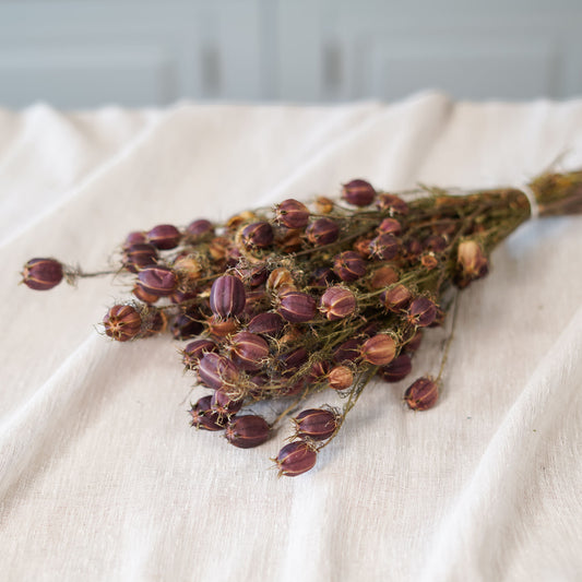 Botte de nigelle de Damas séchée Flowrette - photo 1