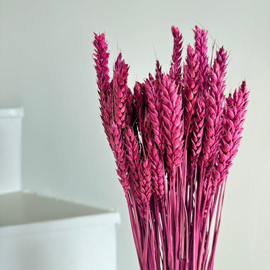 Botte de blé séché bordeaux, vue de face - Flowrette