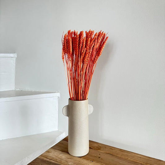 Botte de blé séché orange foncé, vue de face - Flowrette