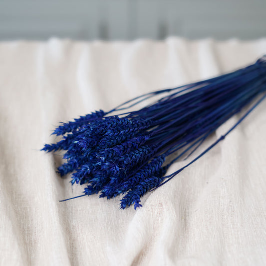 Botte de blé bleu intense séché Flowrette en gros plan