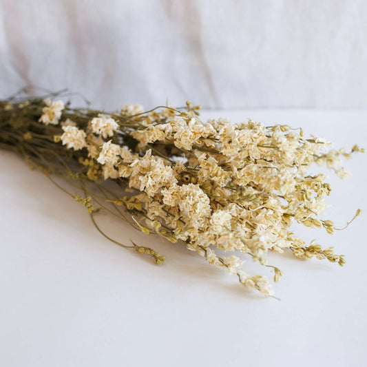 White delphinium in bunch