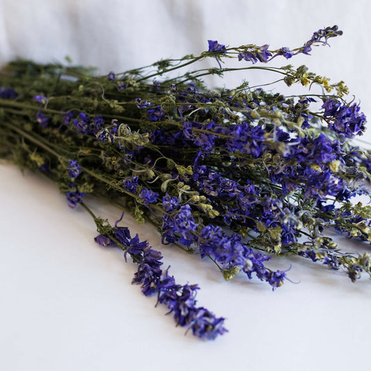 Botte Delphinium bleu