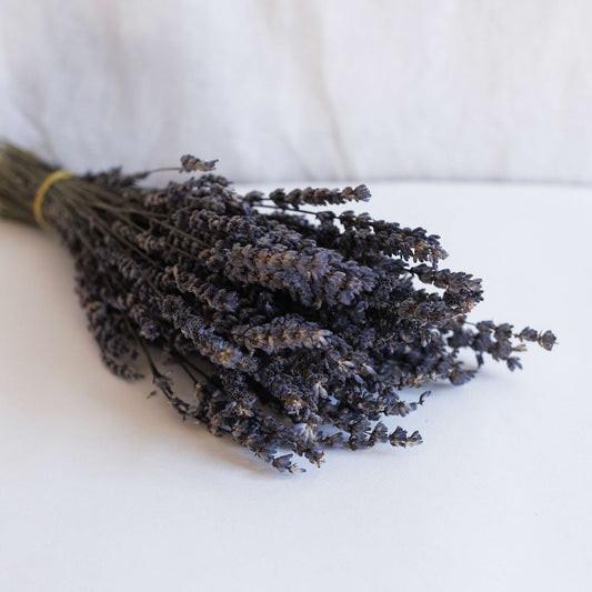 Botte de lavandin séché, vue de face composition naturelle violette - Flowrette