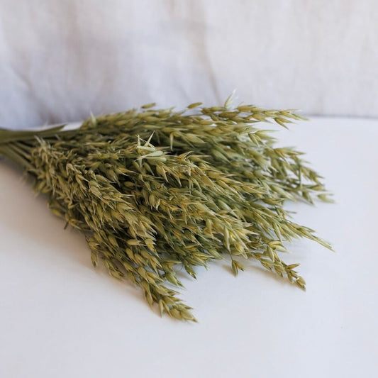 Botte d'Avoine vert naturel séché - Flowrette