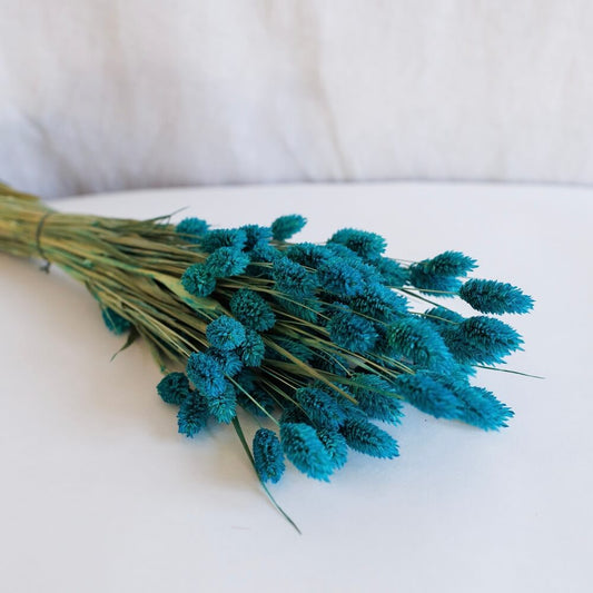 Botte Phalaris Bleu petrol