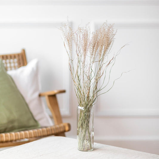 Botte de miscanthus séché, vue d'ensemble des épis - Flowrette