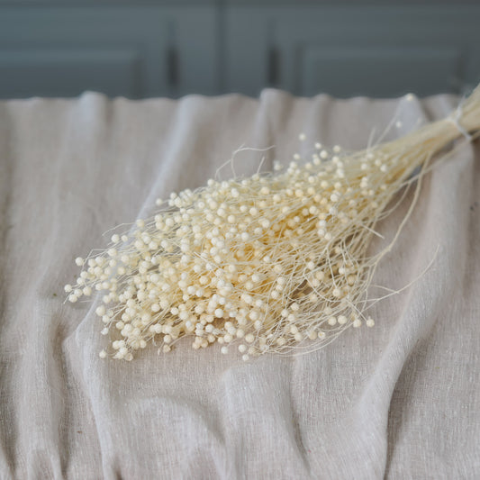 Botte de lin blanc séché Flowrette en gros plan