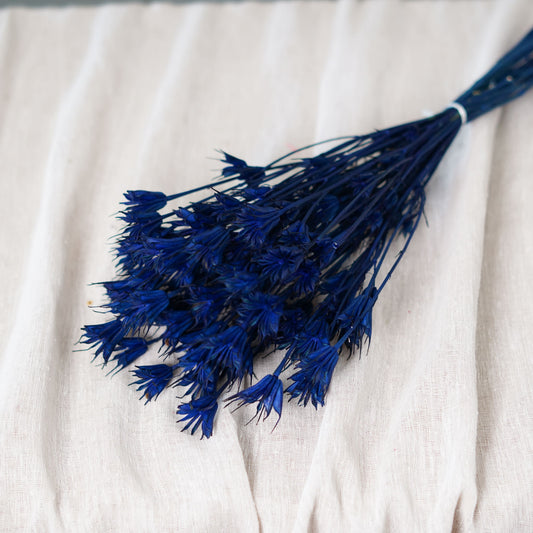 Botte de nigelle orientalis bleue séchée Flowrette en gros plan