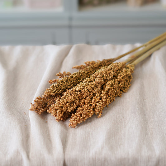 Botte de sorghum naturel séché Flowrette en gros plan