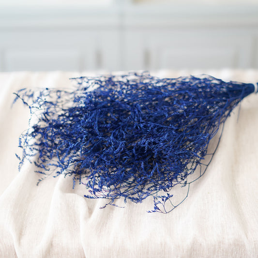Botte de statice marina bleue séchée Flowrette en gros plan