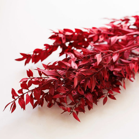 Botte fleurs stabilisées Ruscus Rouge, vue de face - Flowrette