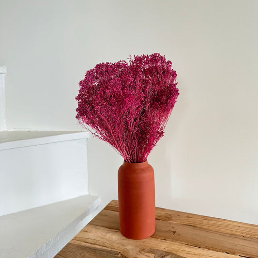 Botte fleurs séchées Broom bloom Bordeaux