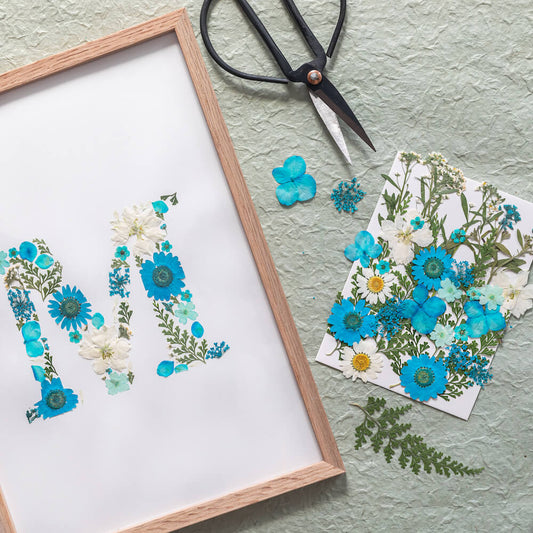 Kit DIY herbier abécédaire bleu, vue du coffret - Flowrette
