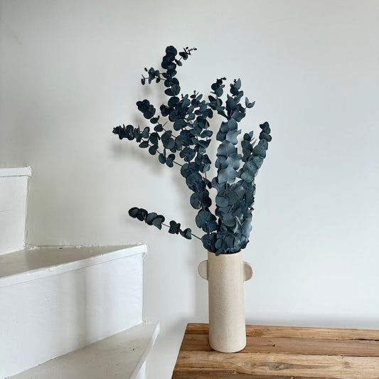 Botte fleurs stabilisées eucalyptus cinerea vert stabilisé