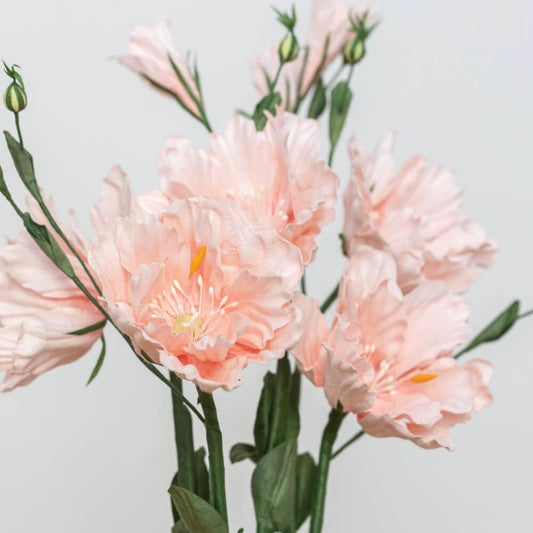 fleurs-en-papier-flowrette-beaux-lisianthus-rose