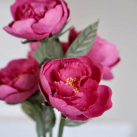 fleurs-en-papier-flowrette-pivoine