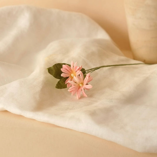 Wild daisies in light pink paper