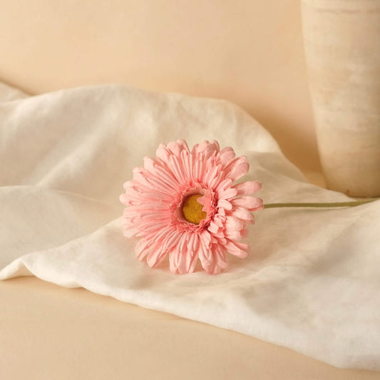 Pale pink paper gerbera