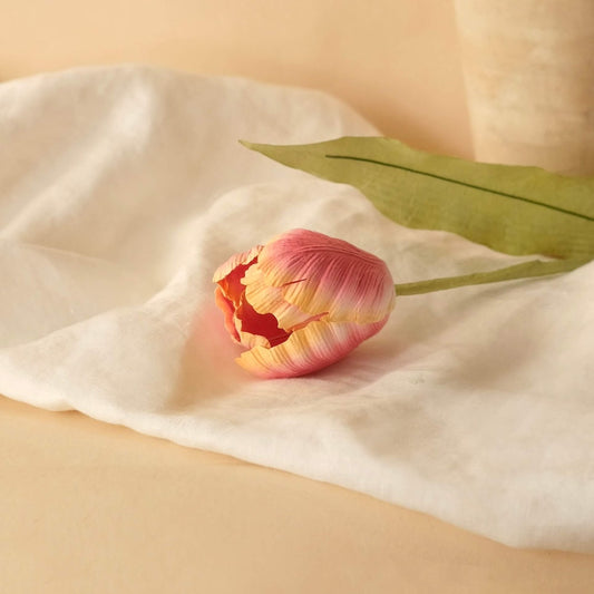 Tulipe en papier bicolore