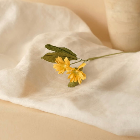 Wild daisies in yellow paper