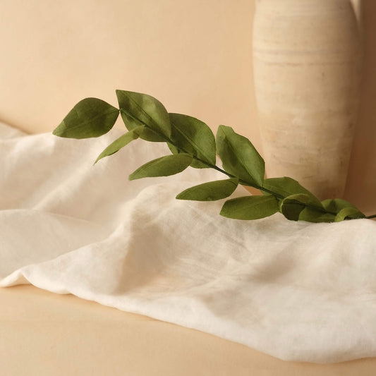 Ruscus en papier vert