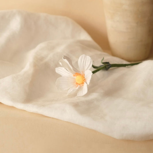 Cosmos en papier blanc