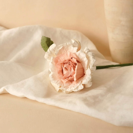 Rose Alice in pale pink paper