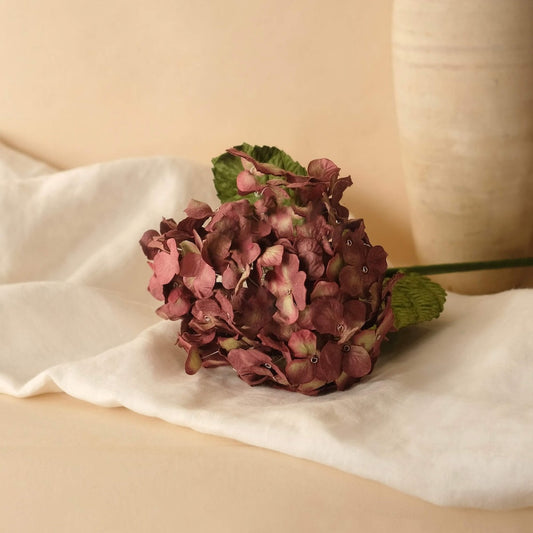 Hortensia en papier prune