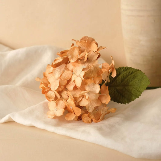 Hortensia en papier orange clair