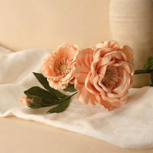 Rose Caroline in apricot paper