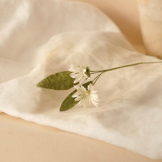 Marguerites sauvages en papier blanche