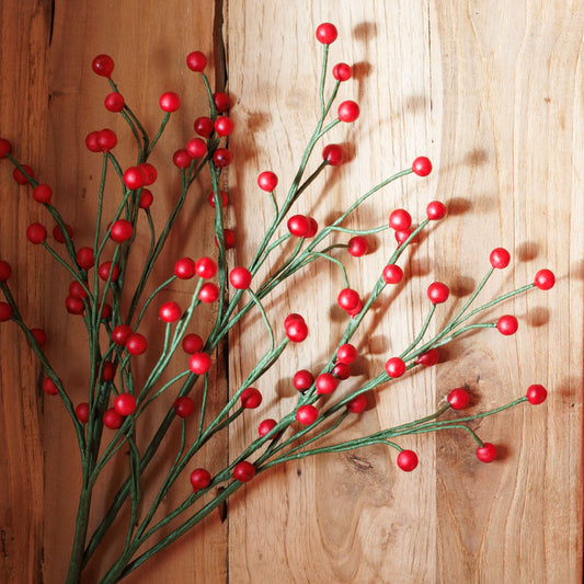 baie-papier-rouge-fleurs-noel