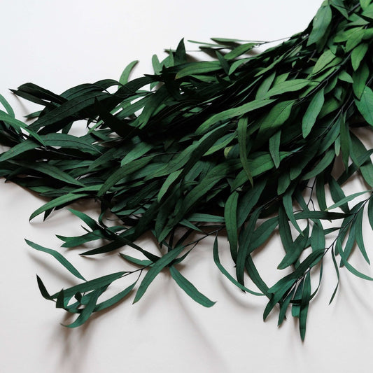 Botte Eucalyptus Nicoli Vert stabilisé, vue de face - Flowrette