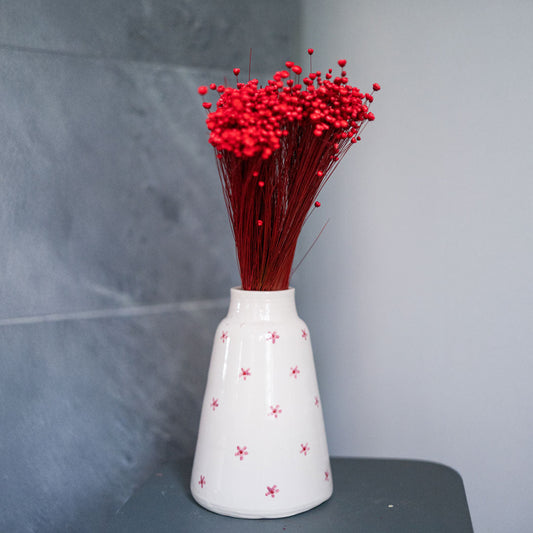 Flowrette fleurs séchées, botte de glixia rouge